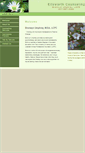 Mobile Screenshot of ellsworthcounseling.com